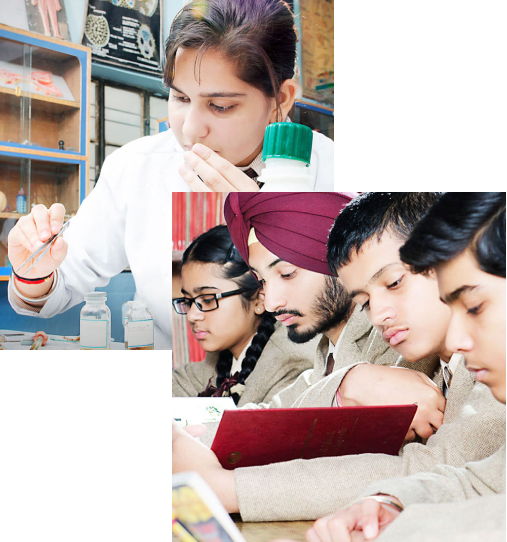 KBM INTERNATIONAL SCHOOL